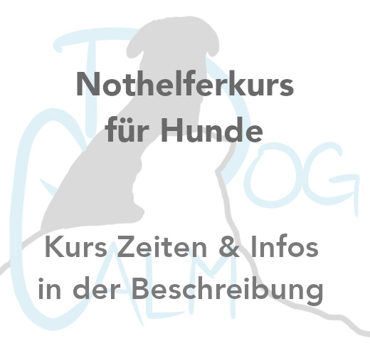 nothelferkurs-fur-hunde-1788